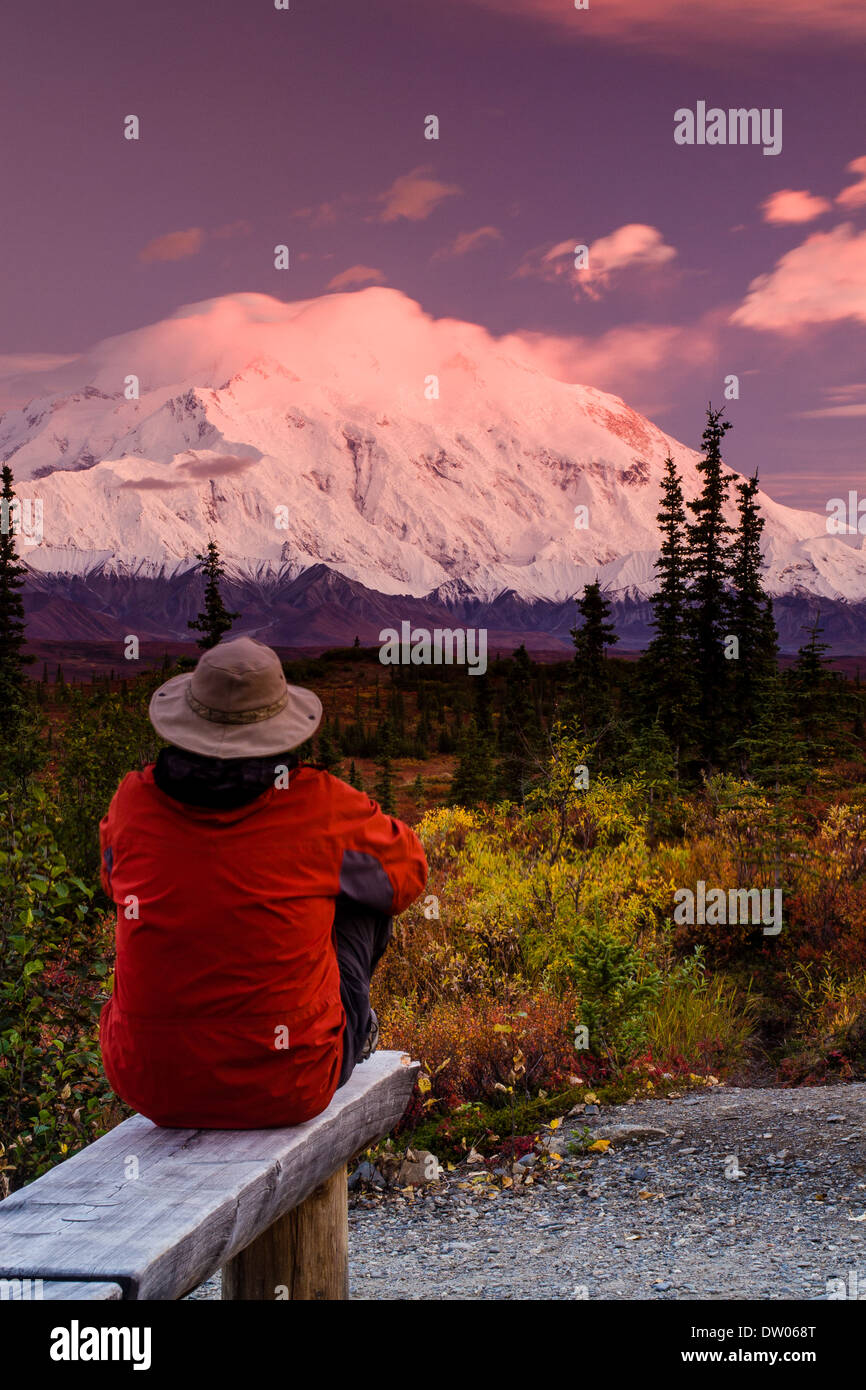 Un homme assis vues lumière du soir sur le mont McKinley (Denali) à partir d'un journal audience à Wonder Lake Campground, Denali National Park, AK Banque D'Images