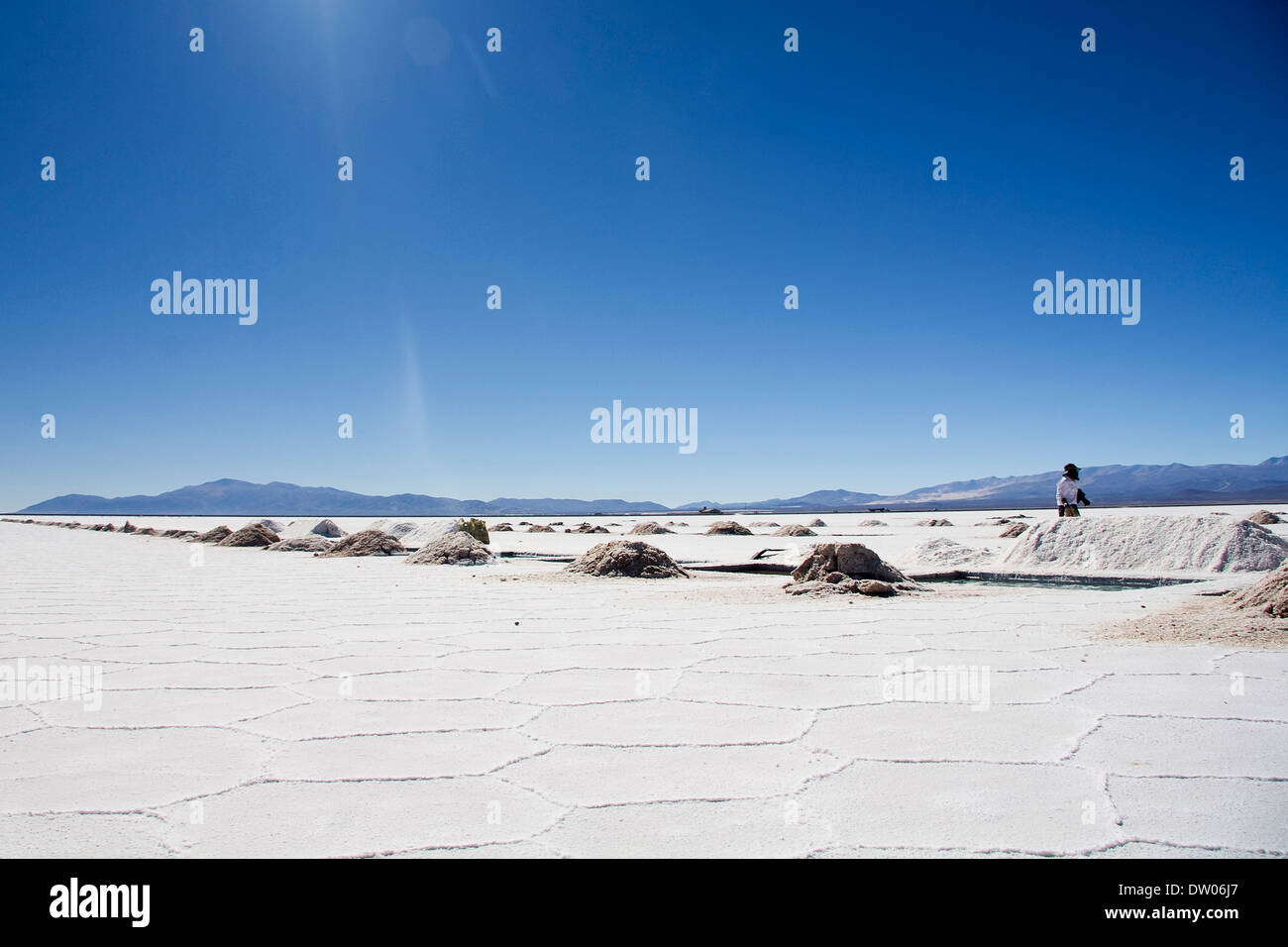 Grand lac salé, Quebrada de Humahuaca, Jujuy, Argentine Banque D'Images