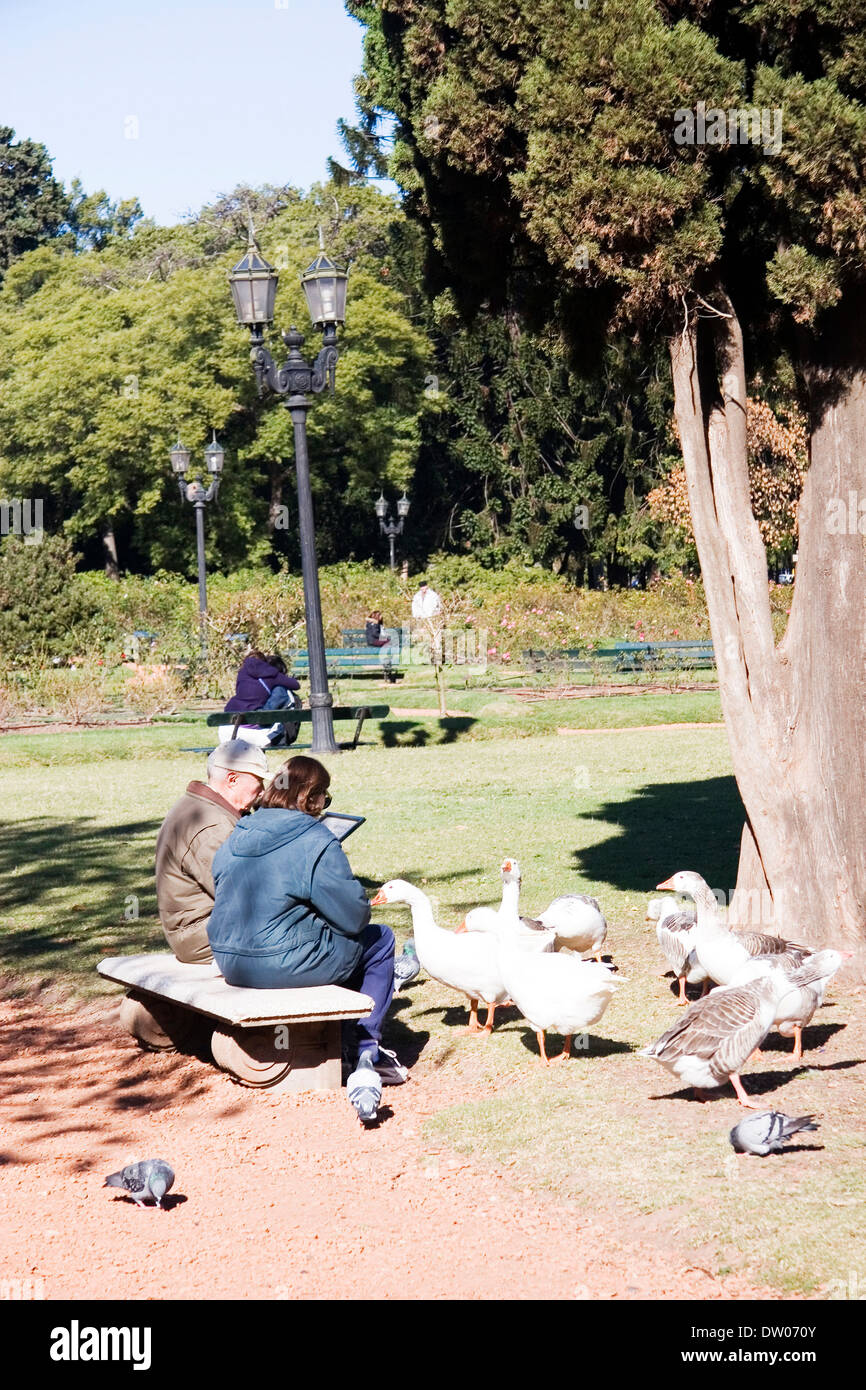 Lacs de Palermo, Buenos Aires, Argentine Banque D'Images