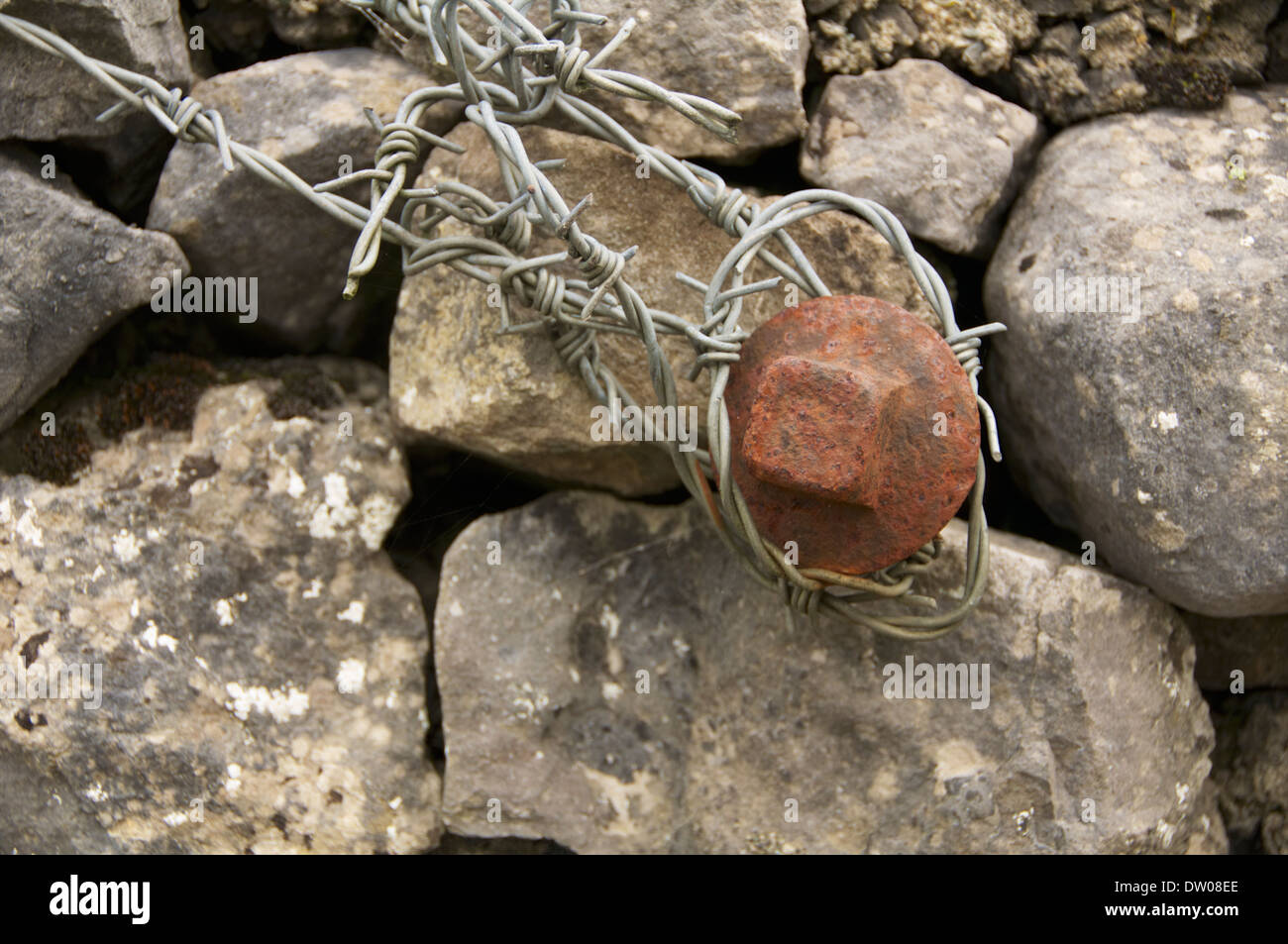Rusty spike avec du fil de fer barbelé attaché autour dans un mur de pierre. Banque D'Images