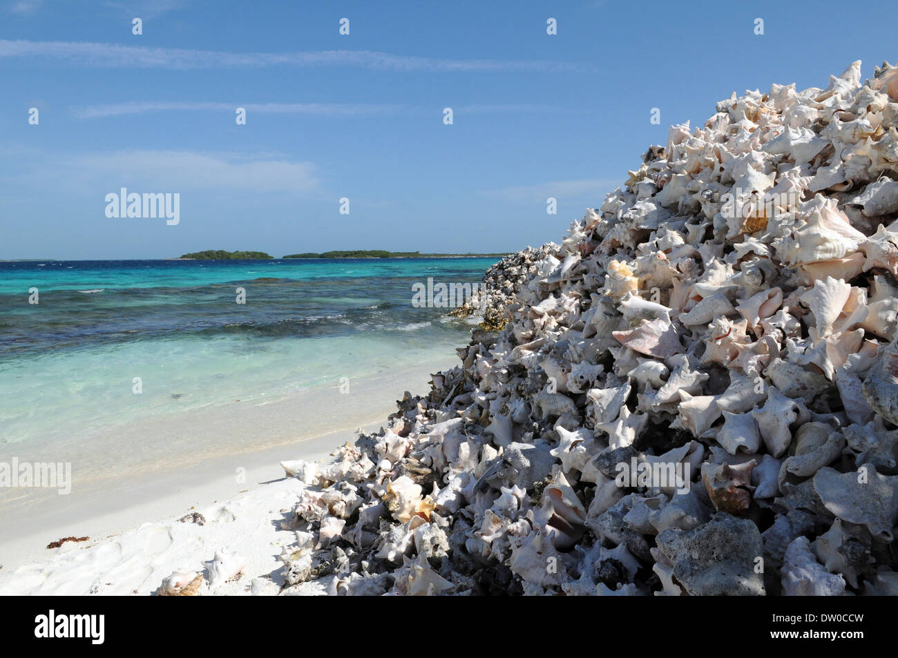 De la montagne à la plage de la conque de crasqui, crasqui island, archipel Los Roques parc national, Venezuela Banque D'Images