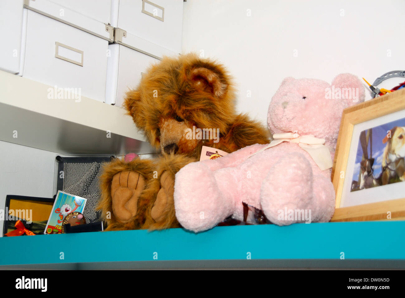 Ours sur étagère dans la chambre de l'enfant Banque D'Images