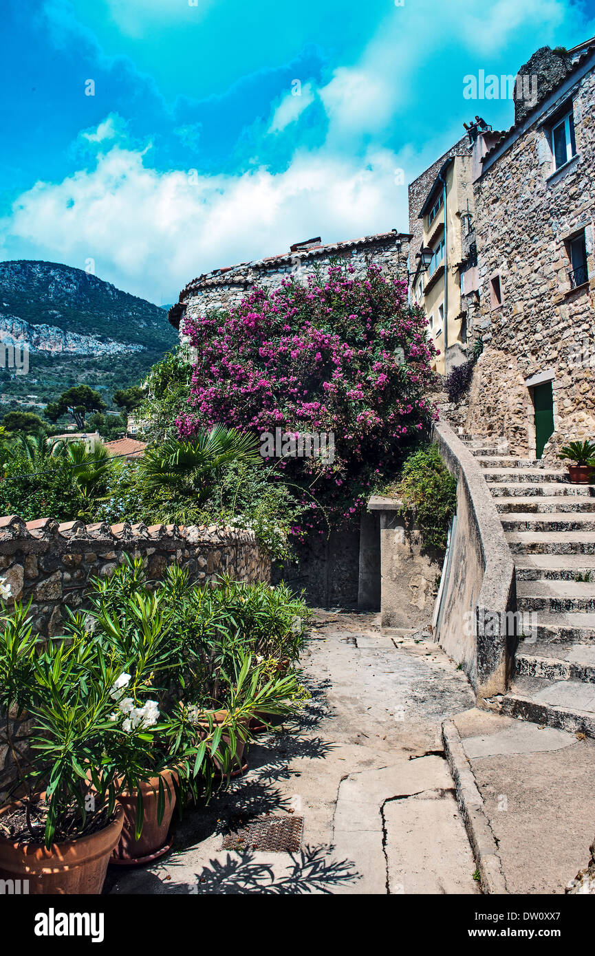 Europe, France, Alpes-Maritimes, Roquebrune-Cap-Martin. Dans une maison en pierre typique de la vieille ville. Banque D'Images