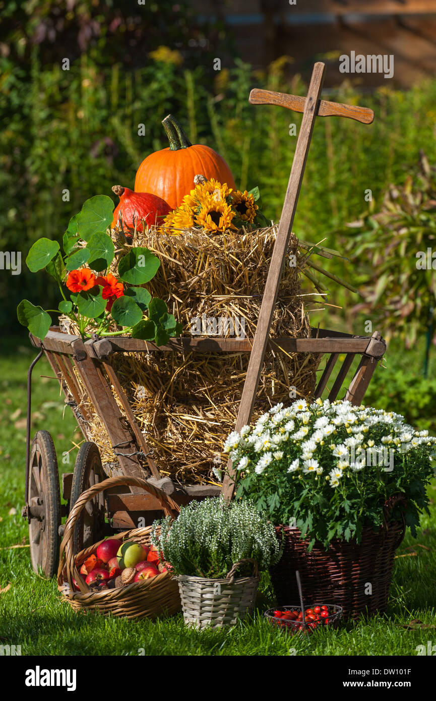 Ancien panier chariot décoré de fleurs et fruits d'automne Banque D'Images