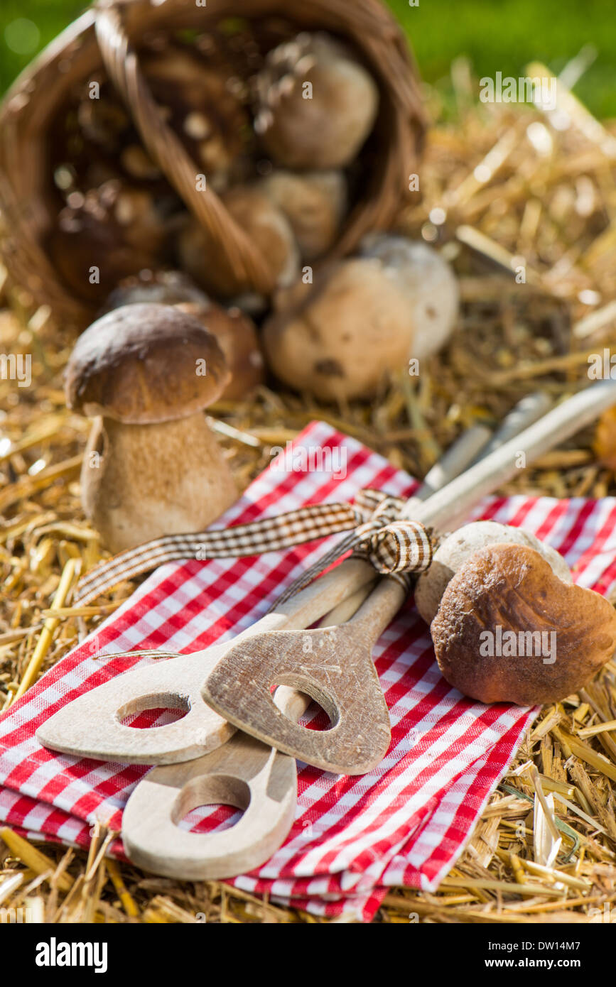 Les champignons fraîchement prélevé sur la paille Banque D'Images