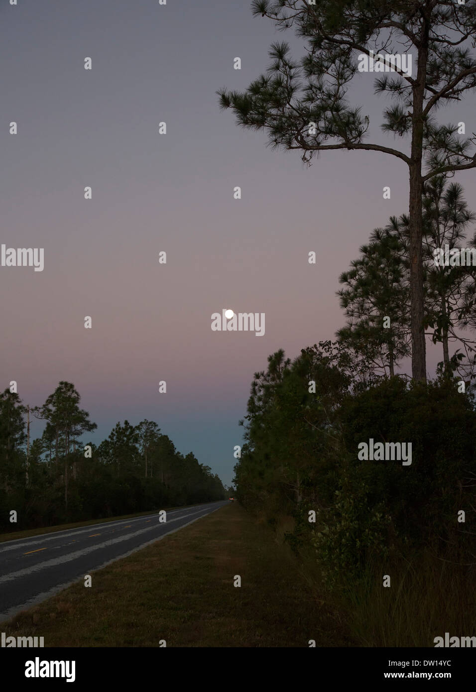 Le Parc National des Everglades, Floride - Pleine lune sur les Everglades. Banque D'Images Le Parc National des Everglades, Floride - Pleine lune sur les Everglades. Banque D'Images