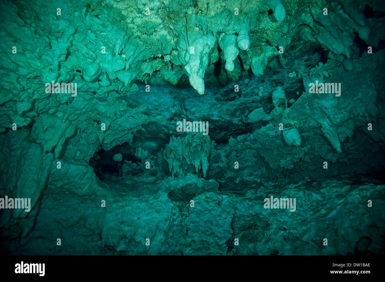 Rock formations dans le Grand sous-marin cénote, péninsule du Yucatan, Mexique Banque D'Images