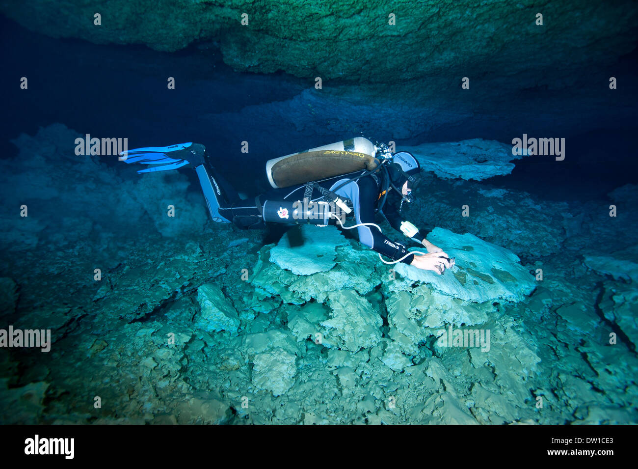 Piscine de plongée sous-marine à travers le Cenote Chikin Ha grotte, péninsule du Yucatan, Mexique Banque D'Images