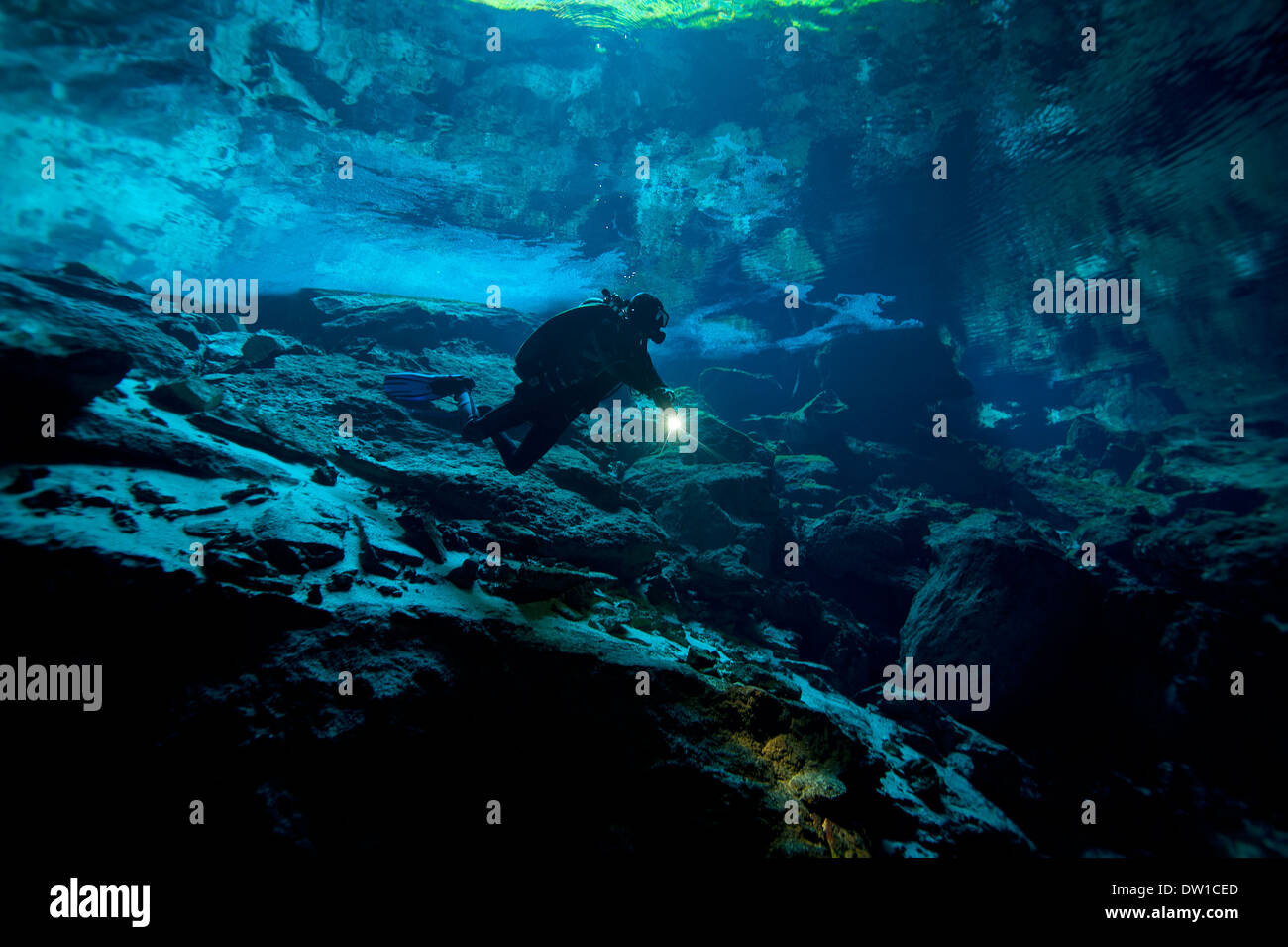 Piscine de plongée sous-marine à travers le Cenote Chikin Ha grotte, péninsule du Yucatan, Mexique Banque D'Images