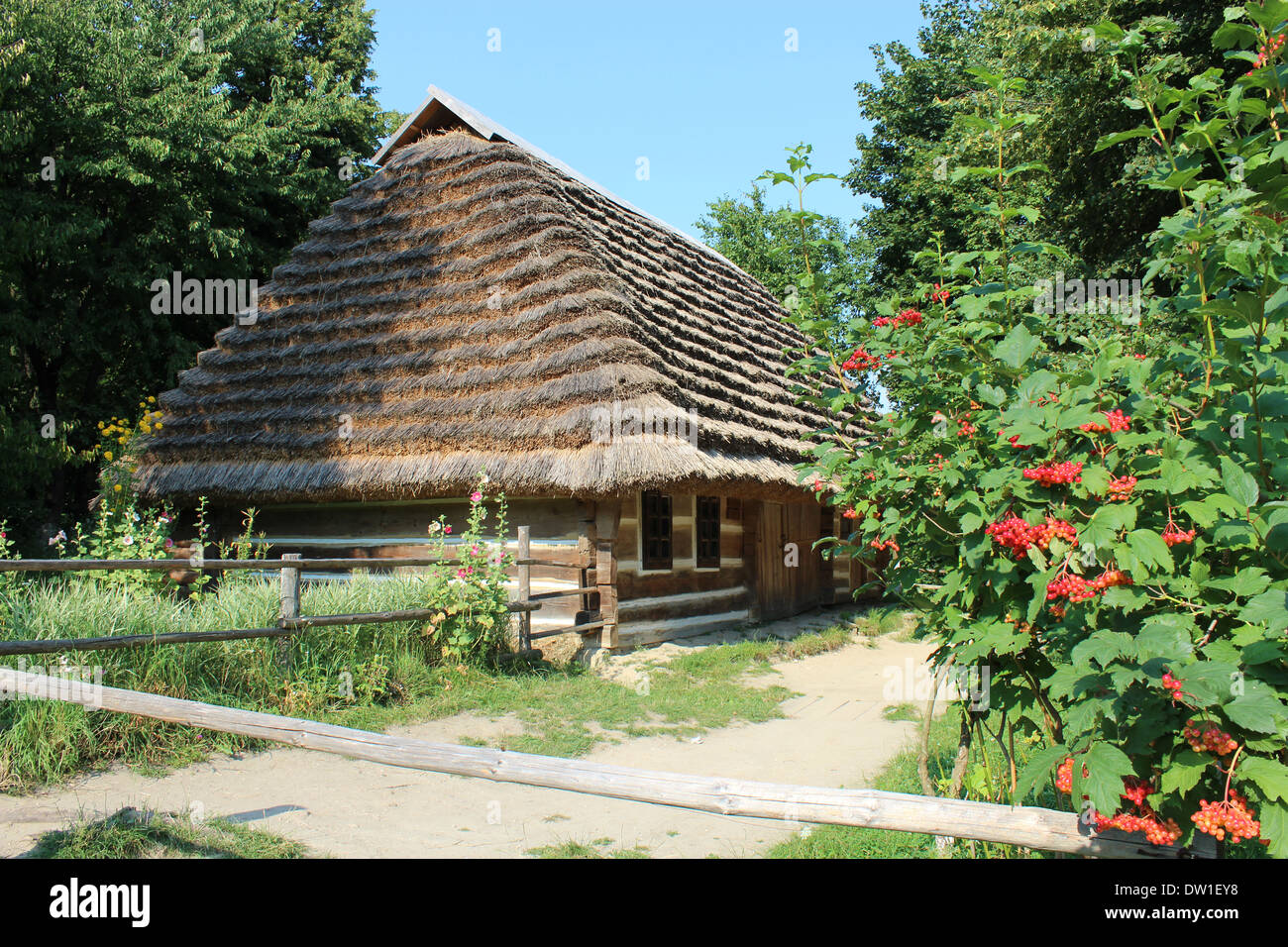 En cluster de Bush et rouge-rose guelder mûrs en plus d'une ancienne maison rurale Banque D'Images