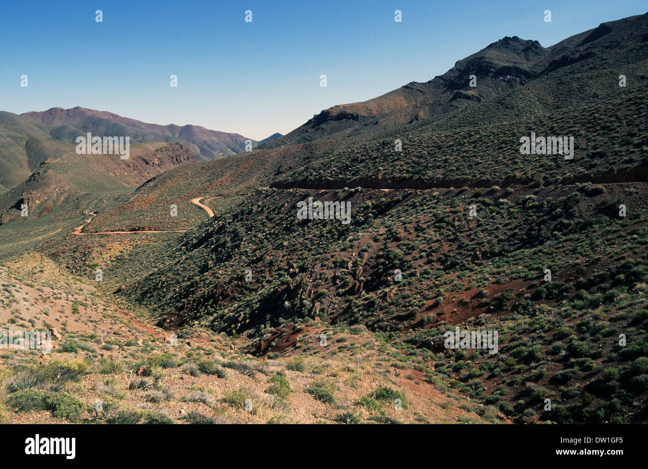 Elk248-1928 Californie, Death Valley National Park, Titus Canyon Road, et du paysage Banque D'Images