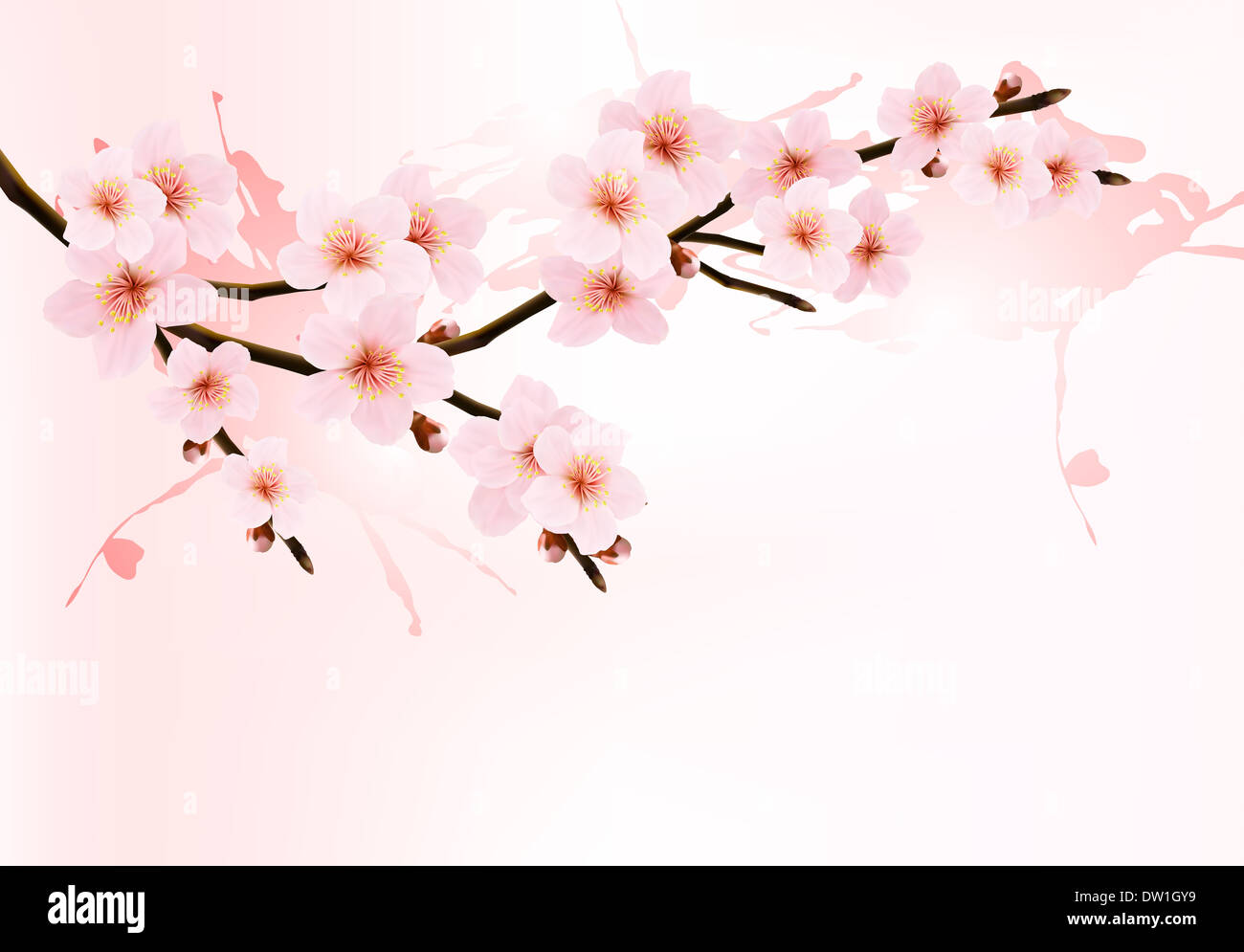 Nature fond avec sakura en fleurs. Vector illustration. Banque D'Images