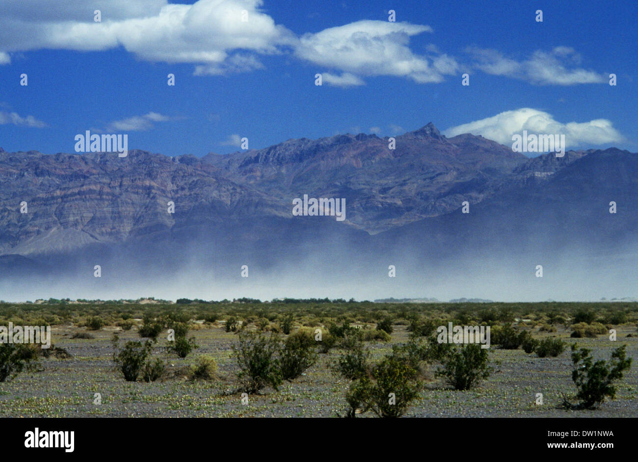 Elk248-2136 Californie, Death Valley National Park, Stovepipe Wells, dunes de sable avec du vent Banque D'Images