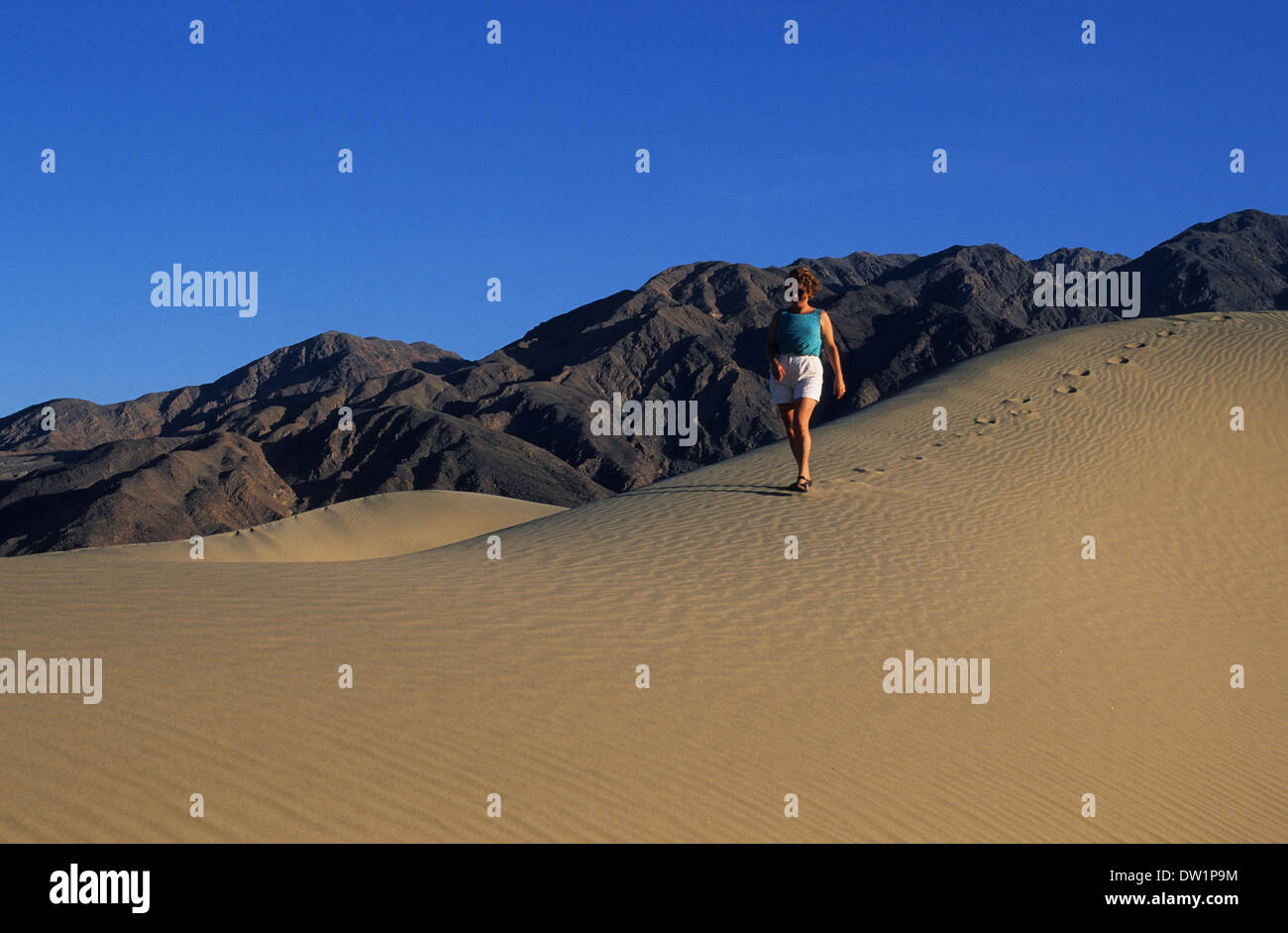 Elk248-2155 Californie, Death Valley National Park, dunes de sable de Stovepipe Wells, randonneur avec Banque D'Images