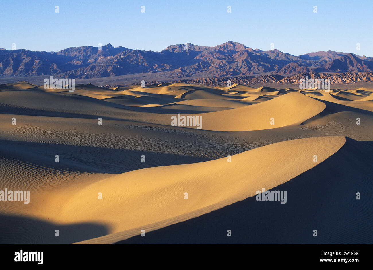 Elk248-2175 Californie, Death Valley National Park, Stovepipe Wells, dunes de sable Banque D'Images