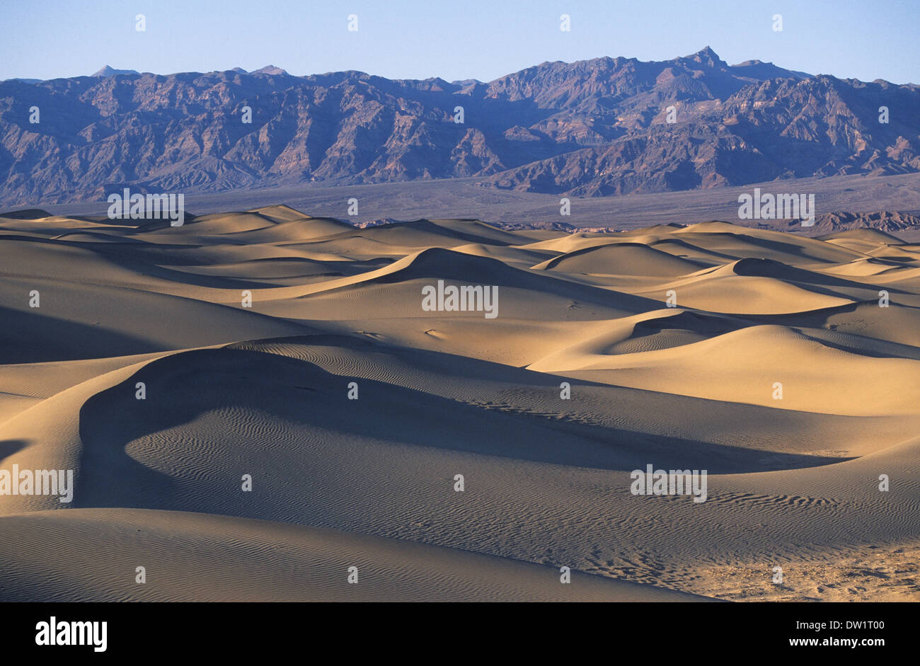 Elk248-2179 Californie, Death Valley National Park, Stovepipe Wells, dunes de sable Banque D'Images