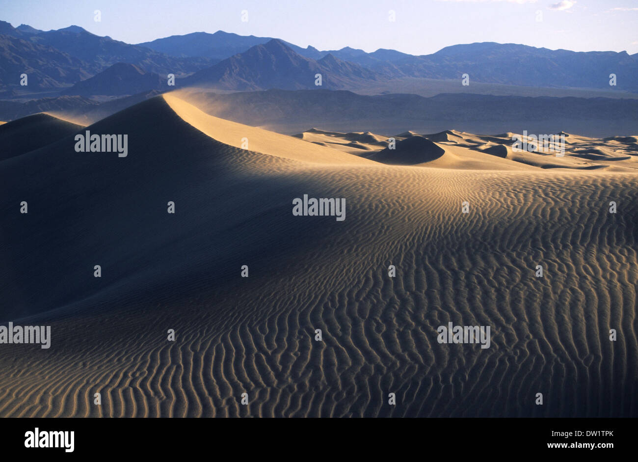 Elk248-2186 Californie, Death Valley National Park, Stovepipe Wells, dunes de sable Banque D'Images