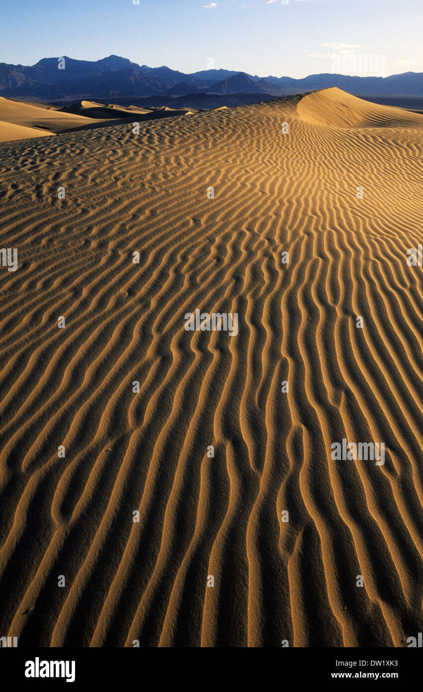 Elk248-2230v Californie, Death Valley National Park, Stovepipe Wells, dunes de sable Banque D'Images