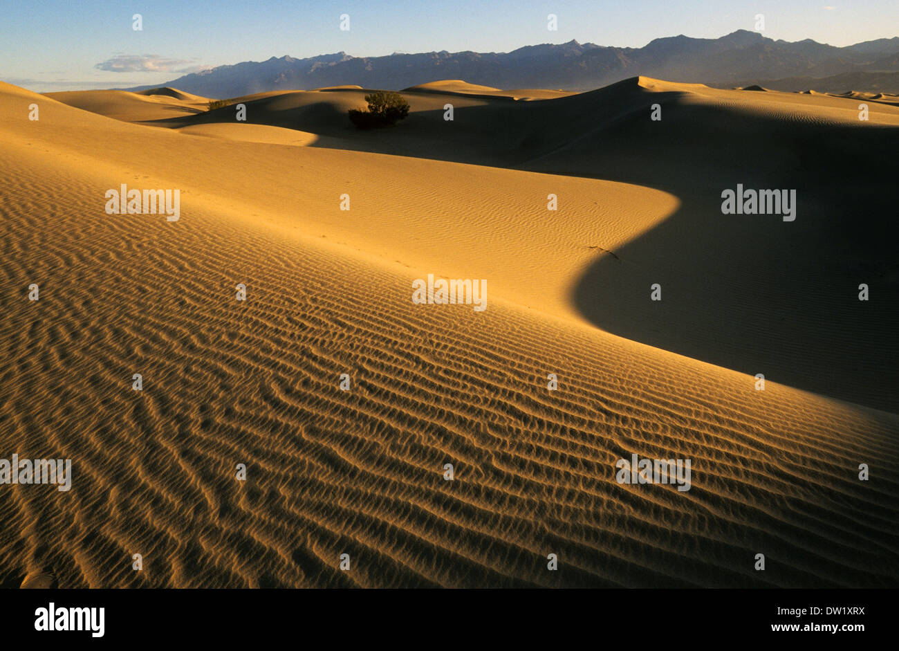 Elk248-2202 Californie, Death Valley National Park, Stovepipe Wells, dunes de sable Banque D'Images