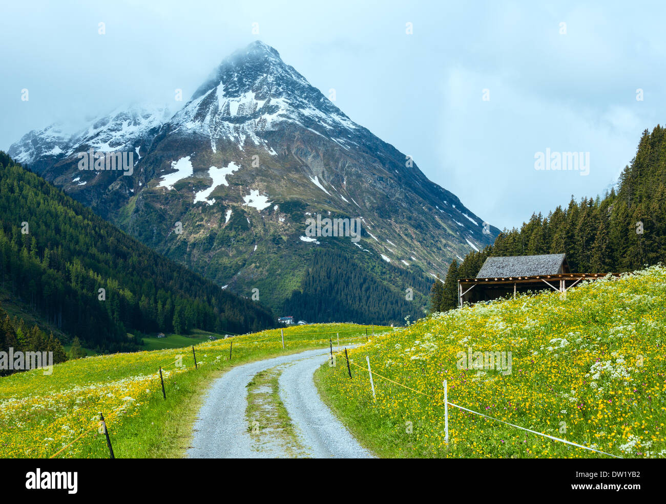 Alpes Silvretta vue d'été, Autriche Banque D'Images