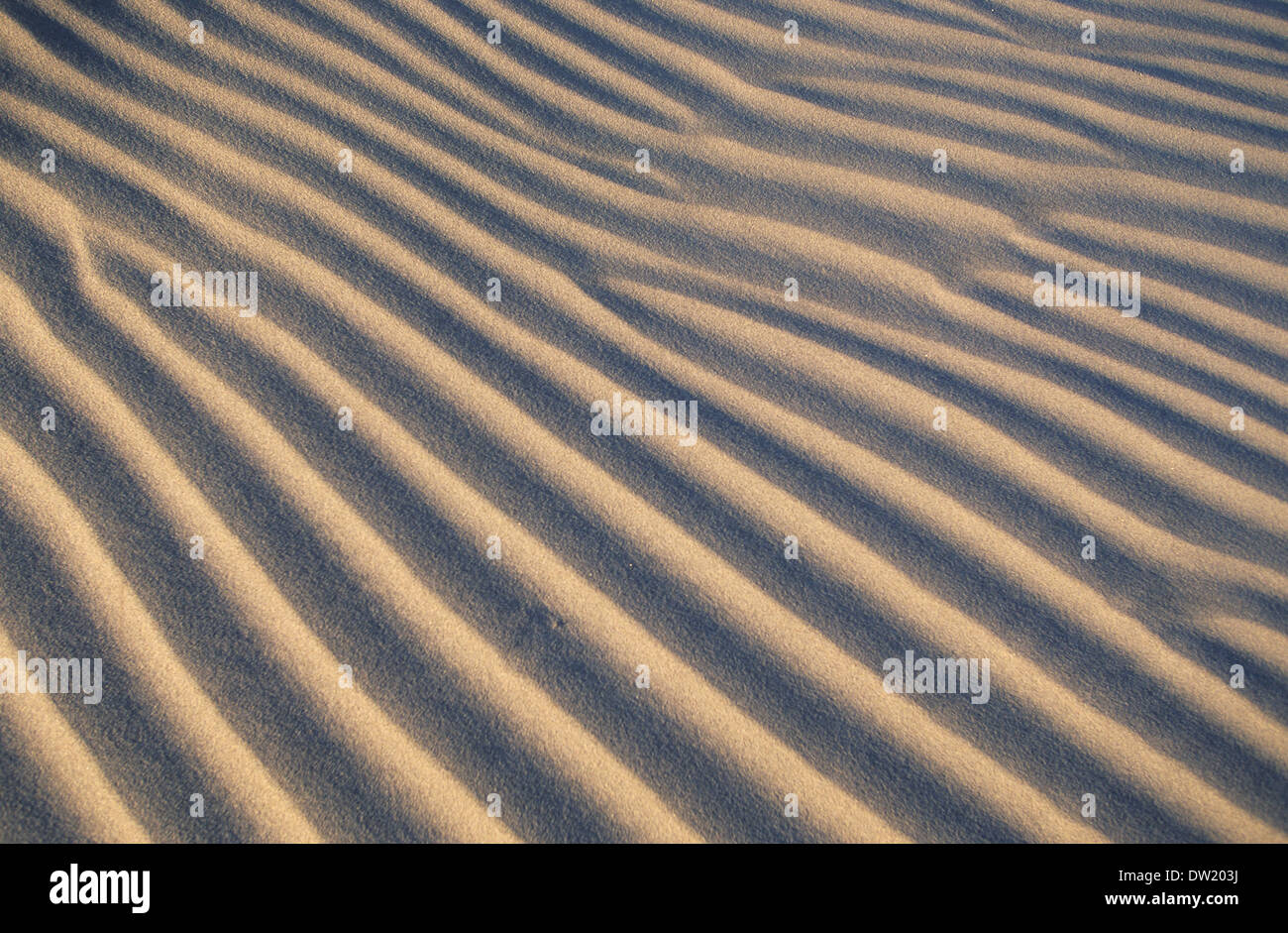 Elk248-2253 Californie, Death Valley National Park, Stovepipe Wells, dunes de sable Banque D'Images