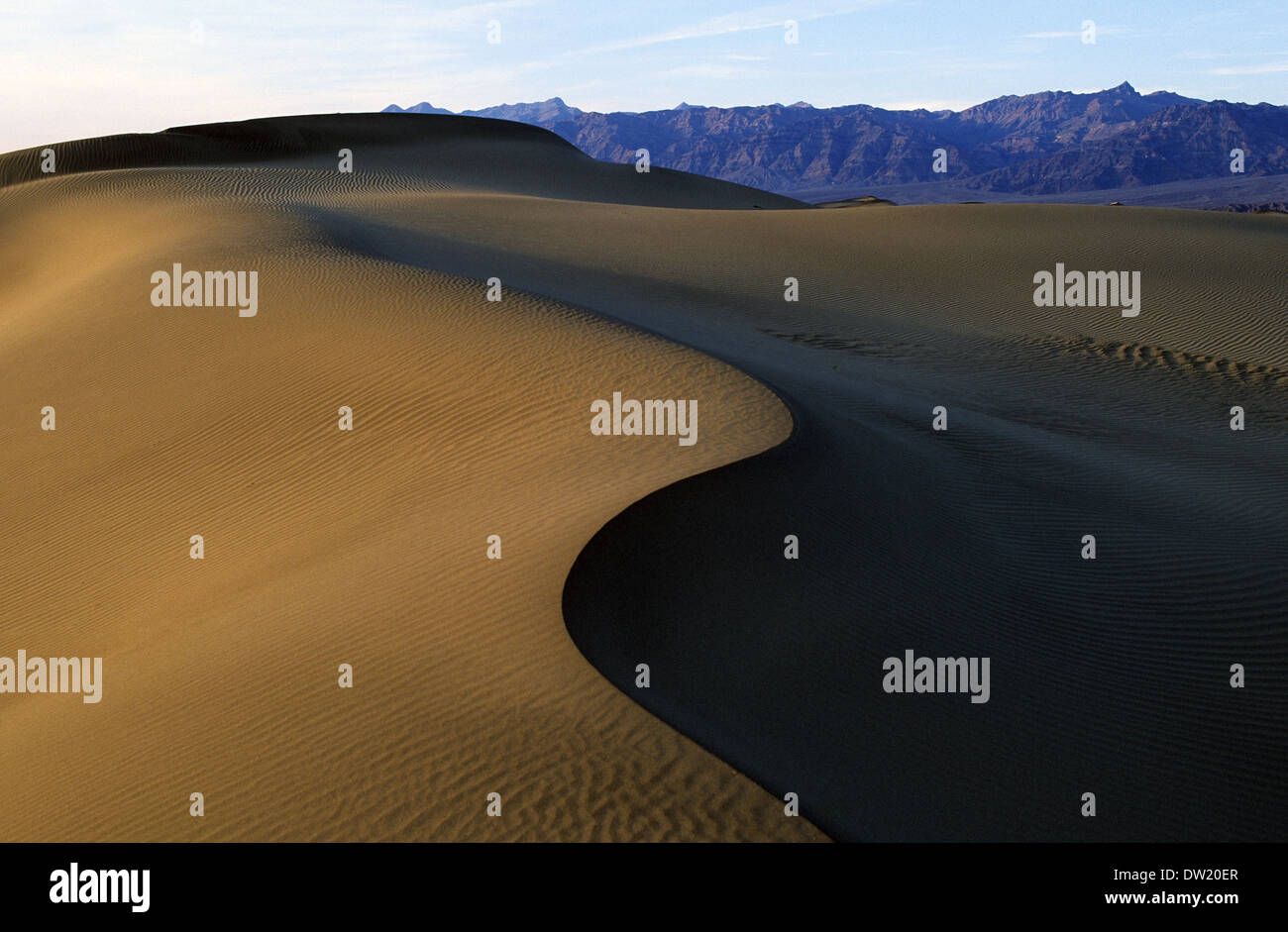 Elk248-2254 Californie, Death Valley National Park, Stovepipe Wells, dunes de sable Banque D'Images