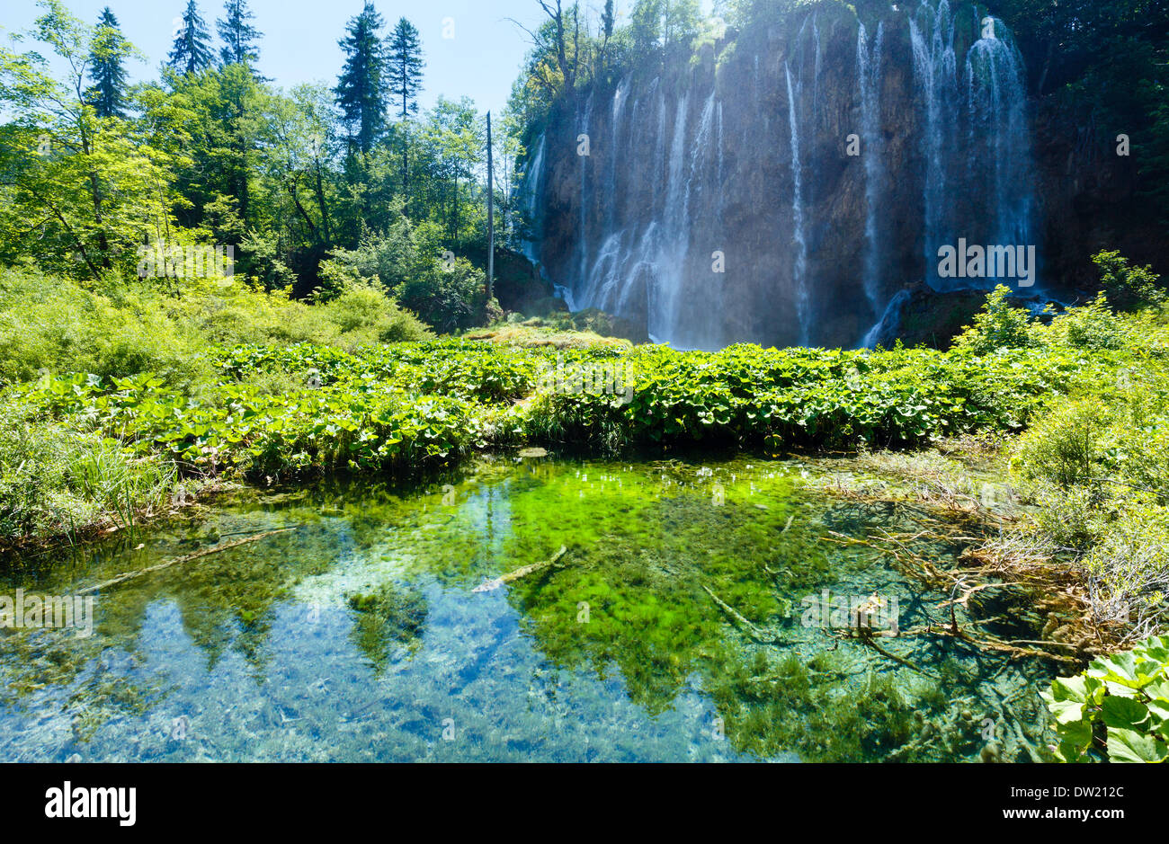 Le parc national des Lacs de Plitvice (Croatie) Banque D'Images