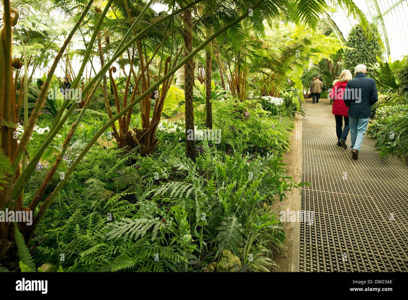 Marcher dans une serre sur le Palais Royal de Laeken à Bruxelles Belgique Banque D'Images
