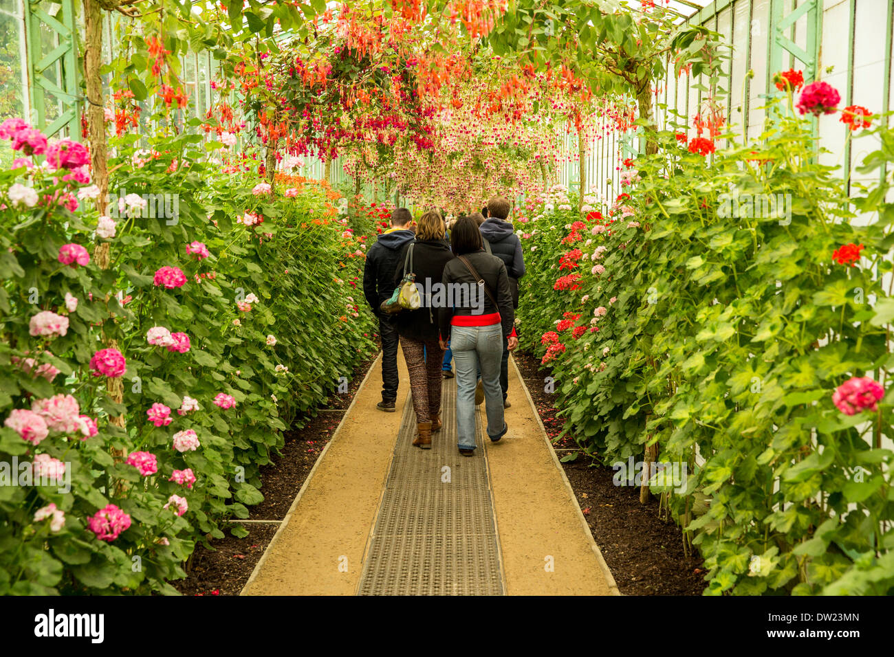 Marcher dans une serre sur le Palais Royal de Laeken à Bruxelles Belgique Banque D'Images
