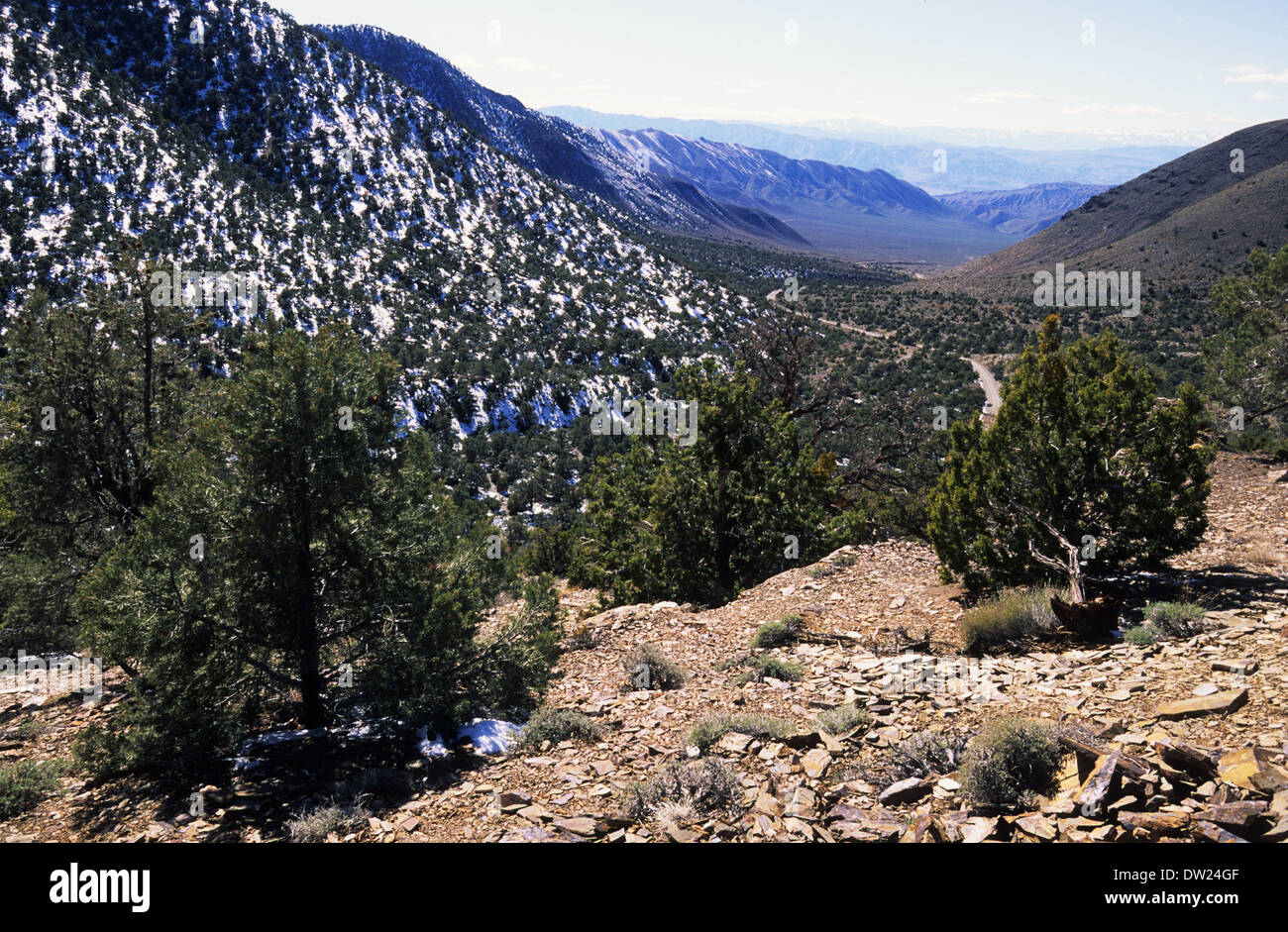 Elk248-2496 Californie, Death Valley National Park, Canyon Wildrose, paysage Banque D'Images