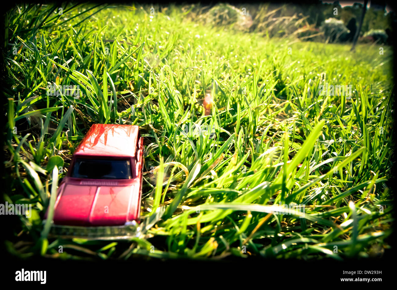Petite voiture rouge sur l'herbe Banque D'Images
