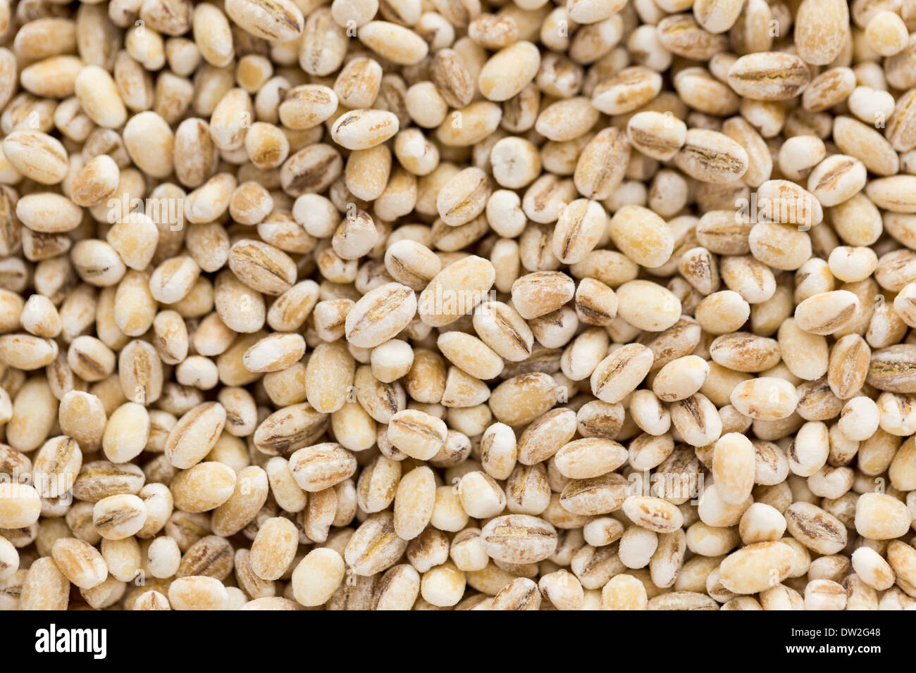 Les petites graines sèches de céréales en arrière-plan de l'alimentation Banque D'Images