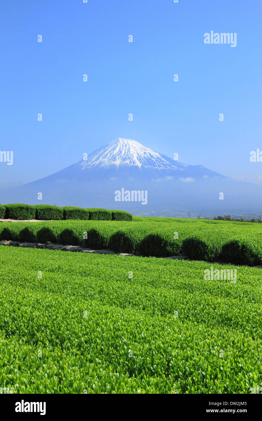 Mont Fuji Banque D'Images