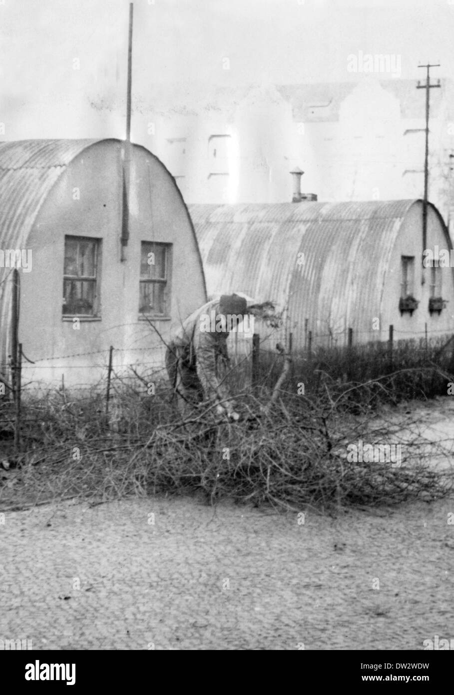 Un homme recueille du bois de chauffage devant les huttes de Nissen, qui ont été érigées après la fin de la guerre en 1945 et ont longtemps servi de logement d'urgence, sur le Damm Hohenzollern à Berlin, en Allemagne, vers 1947. - ici la collecte de bois de chauffage, pris autour de 1947. Fotoarchiv für Zeitgeschichtee - PAS DE SERVICE DE FIL Banque D'Images