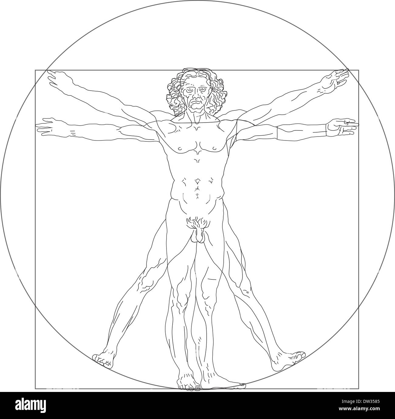 Homme de Vitruve Banque D'Images