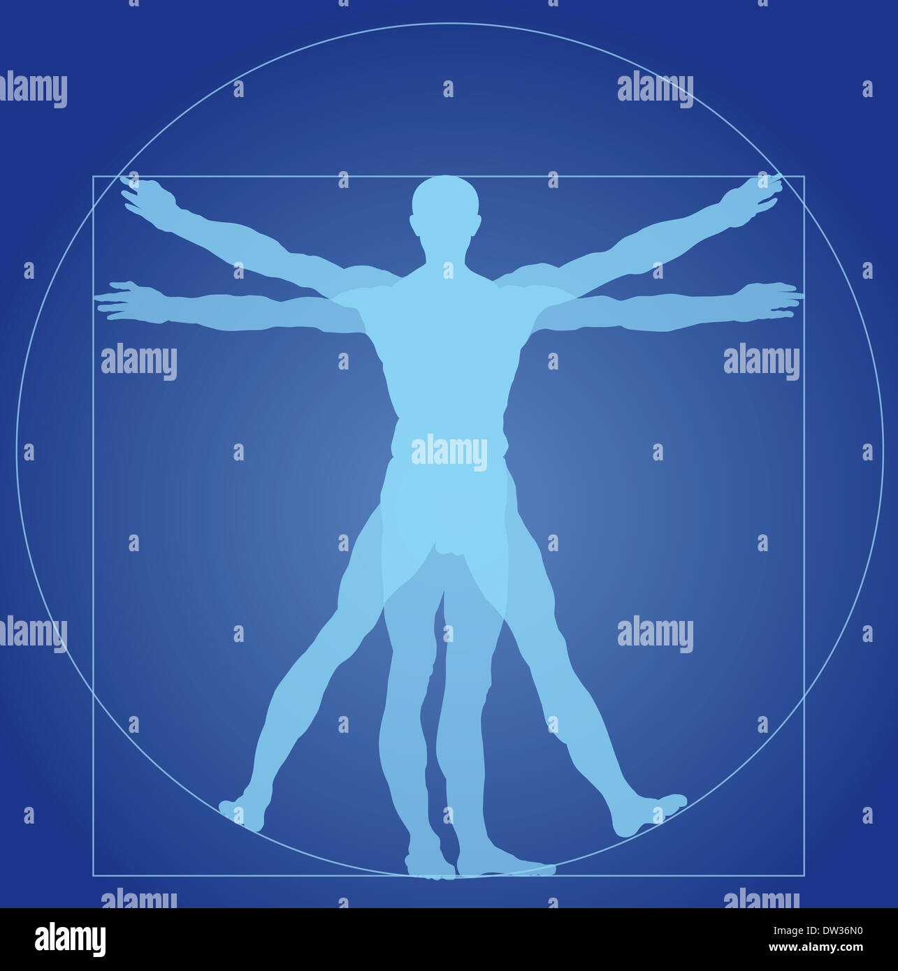 Homme de Vitruve Banque D'Images