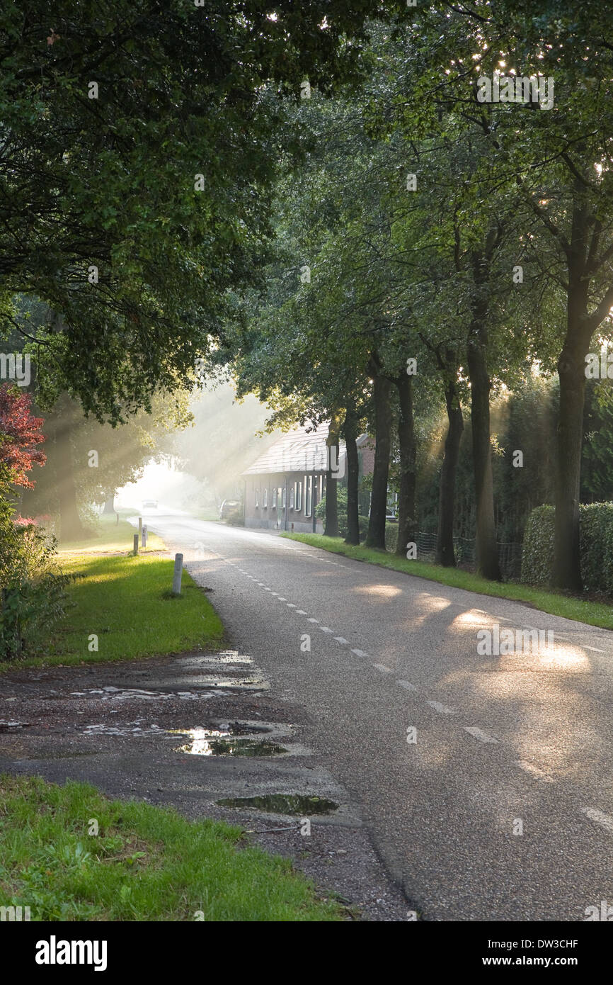 Dutch country road et ferme tôt le matin soleil après la pluie - verticale Banque D'Images