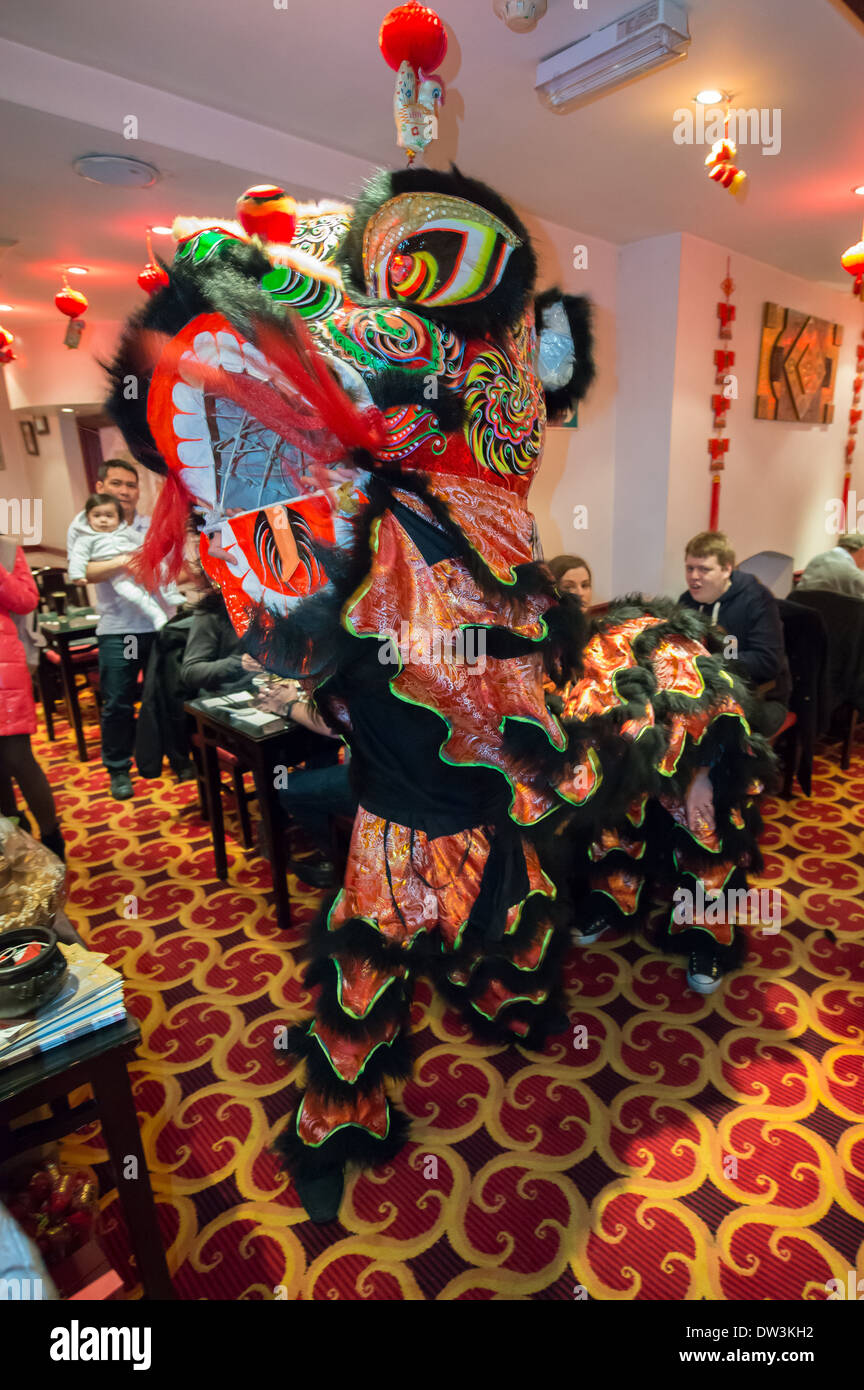 Lion danseur de la danse de l'Association chinoise de Chinatown de Londres à l'intérieur de l'hôtel Feng Shui au Nouvel An Chinois, Gerrard Street, Londres, Angleterre Banque D'Images