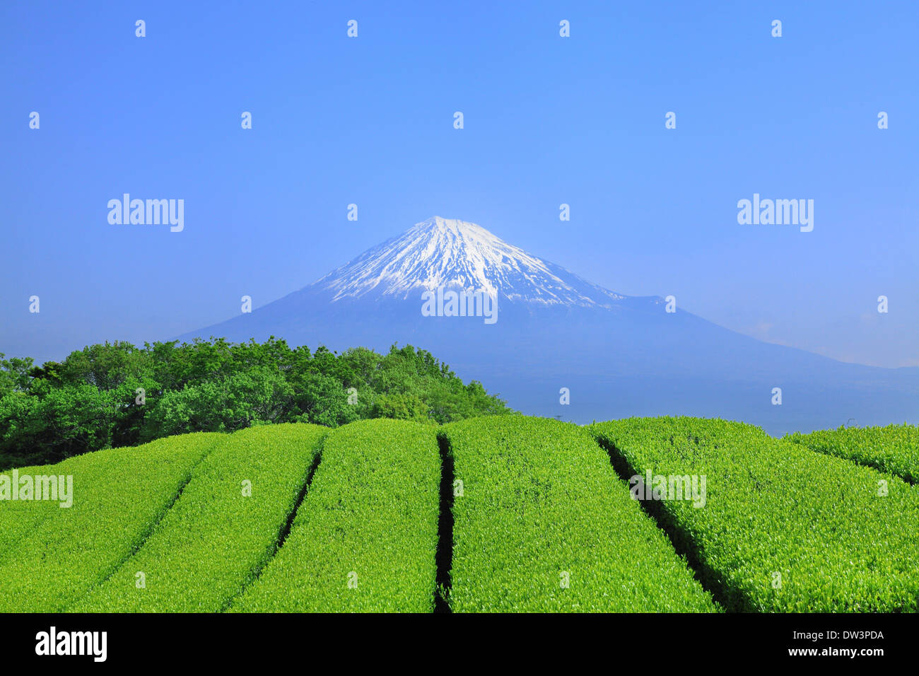 Vue du Mont Fuji Banque D'Images