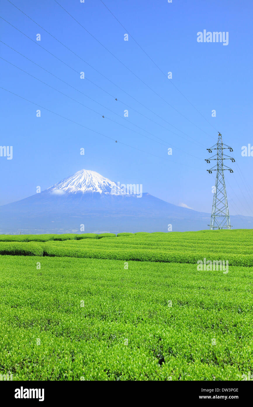 Vue du Mont Fuji Banque D'Images