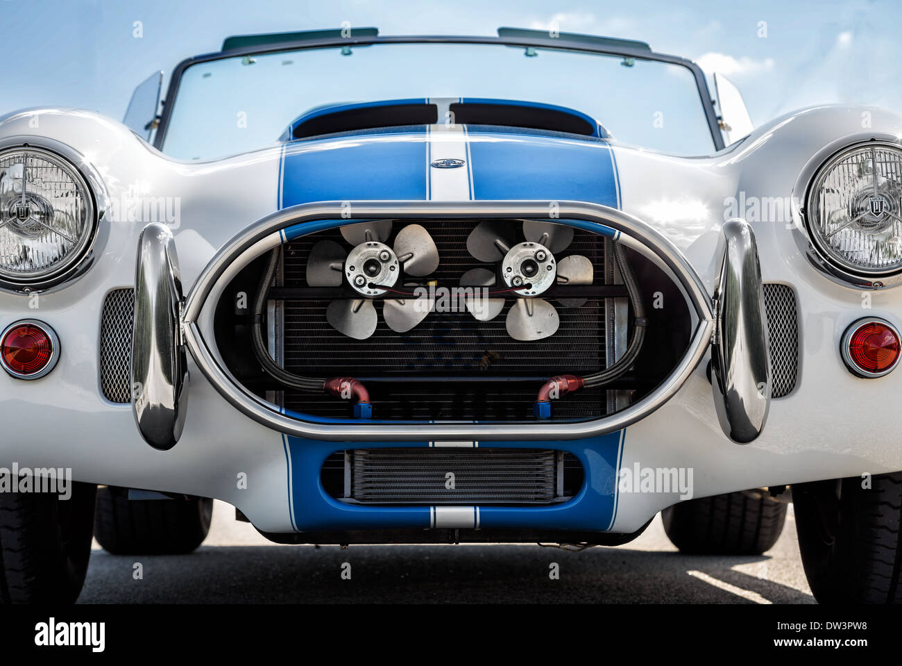 1965 Shelby Cobra Banque D'Images