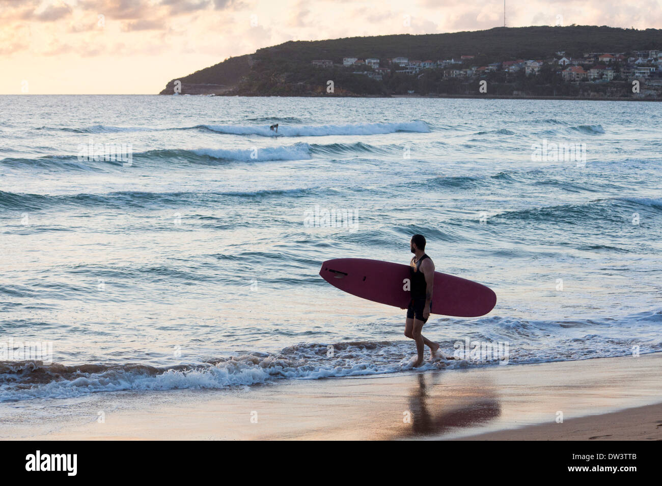 Surfer carrying surfboard conseil entrant au lever du soleil sur la mer du Nord plage dawn Steyne Manly Sydney NSW Australie Nouvelle Galles du Sud Banque D'Images