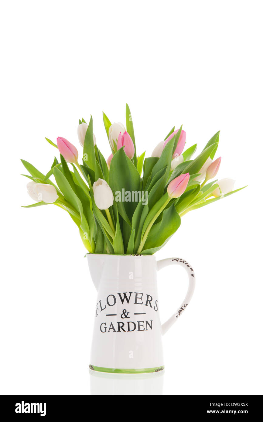 Tulipes Vase avec rose isolé sur fond blanc Banque D'Images