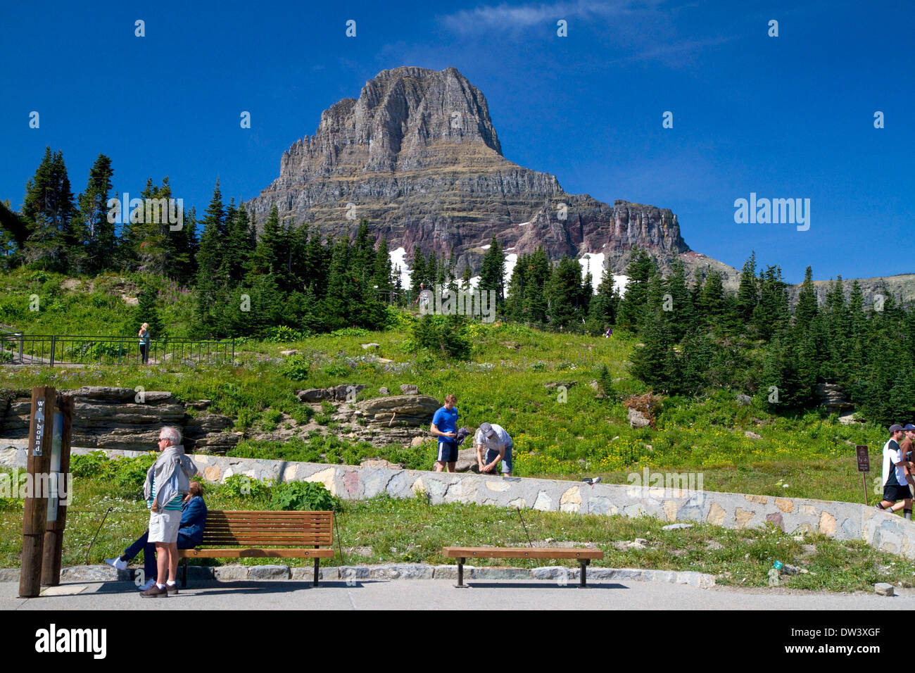 Reynolds Mountain à Logan Pass situé le long de la ligne de partage dans le Glacier National Park, Montana, USA. Banque D'Images Reynolds Mountain à Logan Pass situé le long de la ligne de partage dans le Glacier National Park, Montana, USA. Banque D'Images
