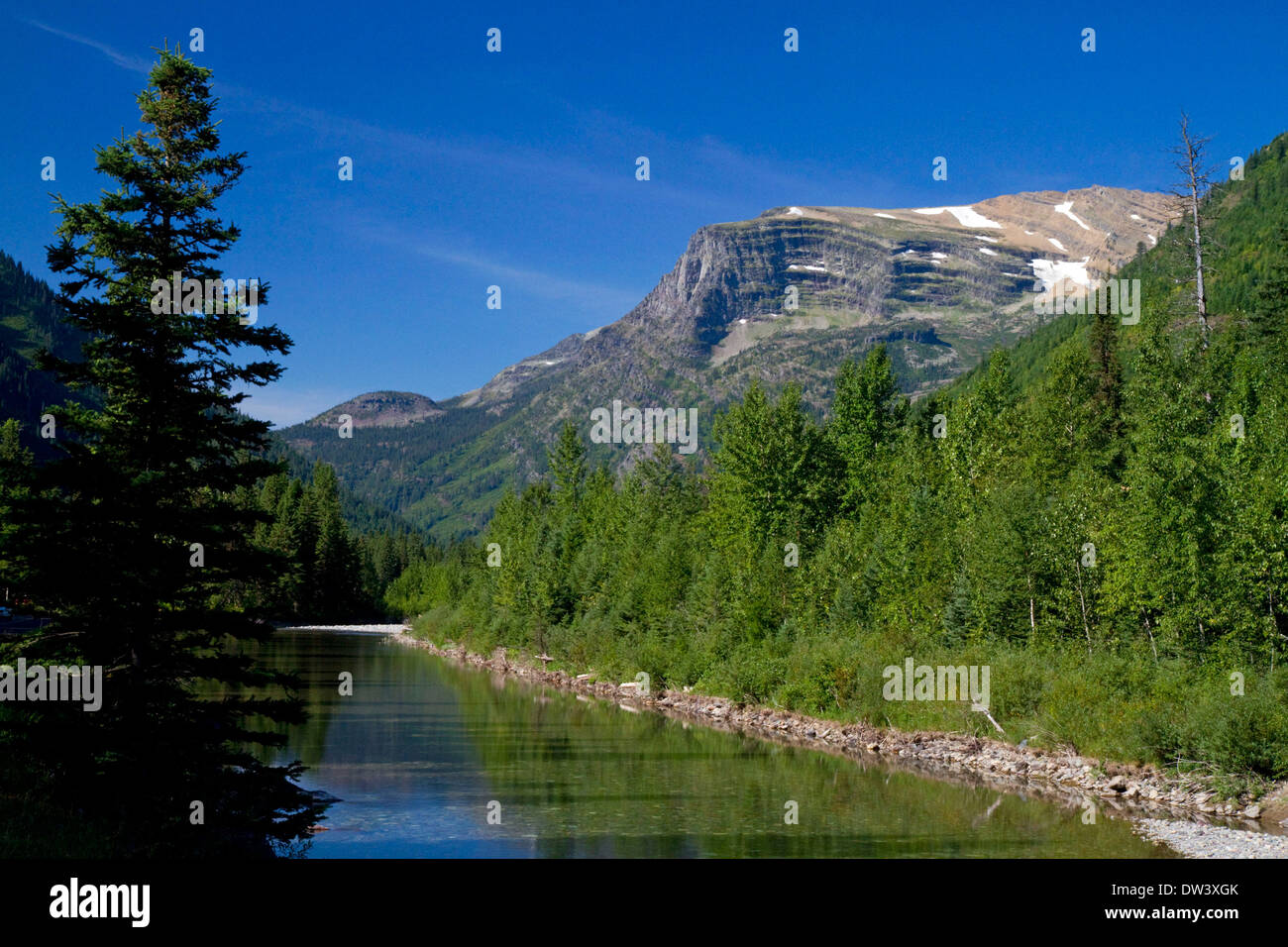 Vue panoramique le long de la Passe-à-la-Sun Road dans le Glacier National Park, Montana, USA. Banque D'Images