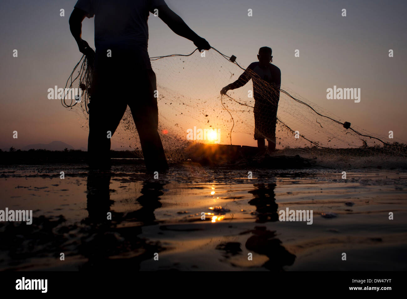 26 févr. 2014 - Banda Aceh, Aceh, Indonésie - les hommes à l'aide de filets de pêche dans un étang à poissons. La production de la pêche de l'Indonésie ont totalisé 15,26 millions de tonnes en 2012, avec la capture sauvage comptant pour 5,81 millions de tonnes et de l'aquaculture pour 9,45 millions de tonnes, selon le Ministère des affaires maritimes et des pêches. L'ORGANISATION DES NATIONS UNIES POUR L'alimentation et l'agriculture (FAO) en 2011 l'Indonésie se classe troisième au monde en termes de prises marines et intérieures ainsi que quatrième dans l'aquaculture de la production. Les exportations de la pêche a fortement augmenté ces dernières années et ont atteint 3,9 milliards USD en 2012, avec la plupart des expéditions aux États-Unis Banque D'Images