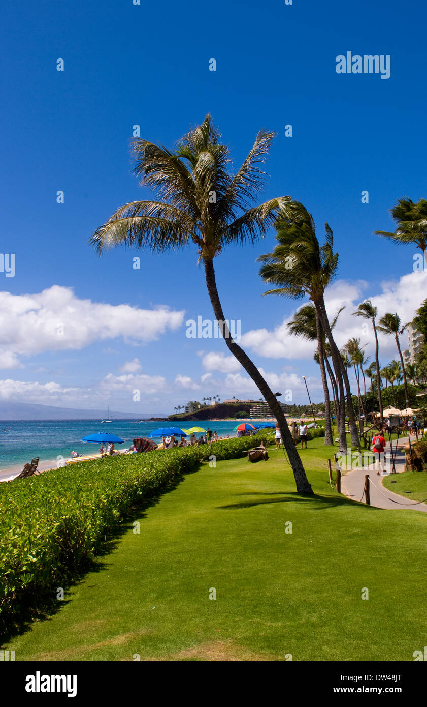 Détente à l'exclusif Weston Maui Resort à Maui Hawaii Banque D'Images