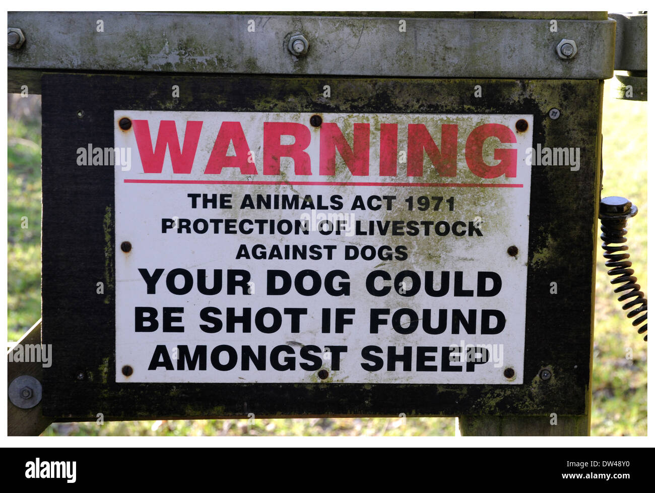 Un sérieux avertissement pour les propriétaires de chiens irresponsables sur une ferme menant à un champ qui permet d'y faire paître les moutons. Banque D'Images