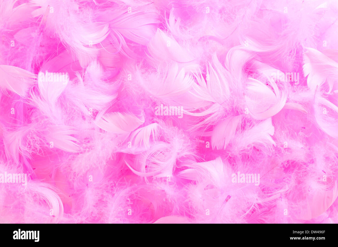 Libre d'un tas de plumes rose tendre Banque D'Images