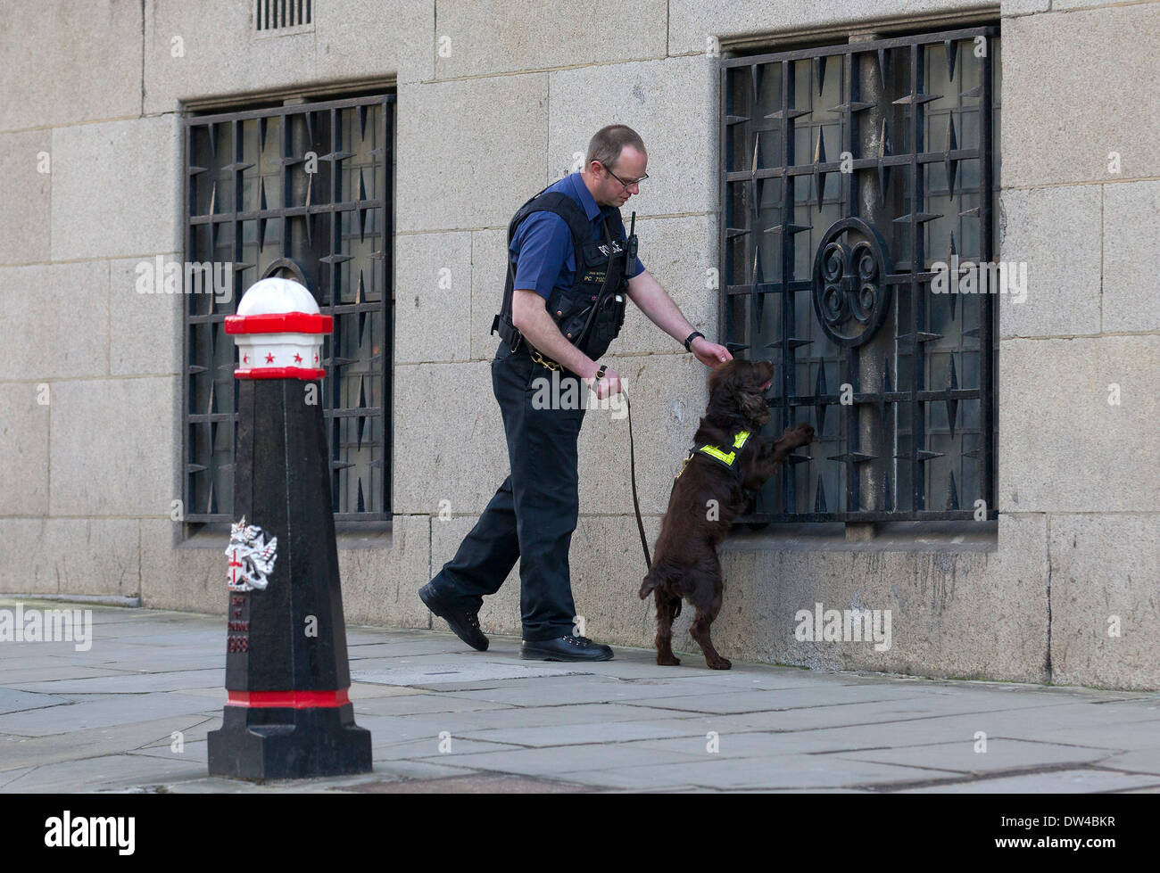 UK, Londres : un chien renifleur de la police balaie la zone à l'extérieur de l'Old Bailey à Londres le 26 février 2014. Banque D'Images